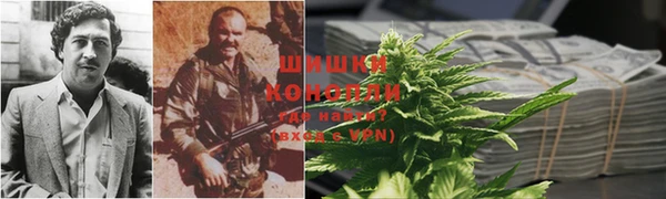 прущие грибы Волосово