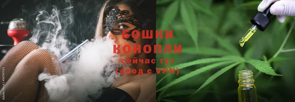 прущие грибы Волосово