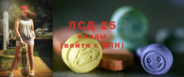 прущие грибы Волосово