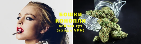 прущие грибы Волосово