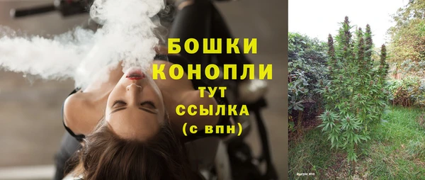 прущие грибы Волосово